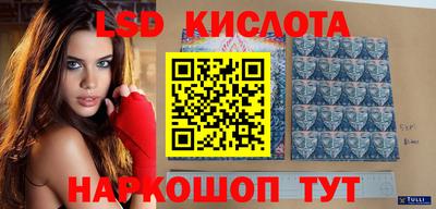 прущие грибы Сосновый Бор