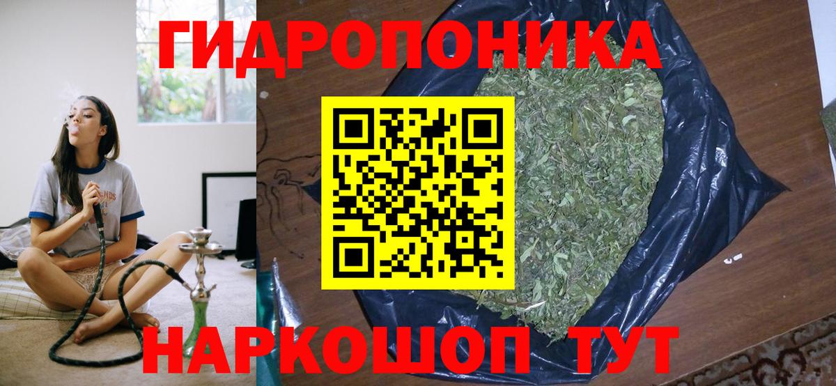 Канабис индика Ессентуки